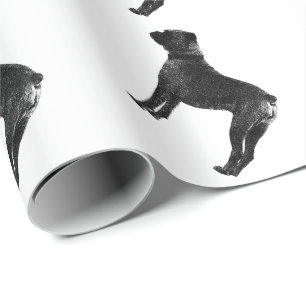 Cadeau Papier d'emballage pour chien de boîte