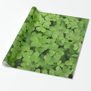 Cadeau Papier d'emballage shamrock à trèfle vert