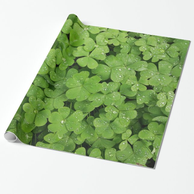 Cadeau Papier d'emballage shamrock à trèfle vert (Déroulé)