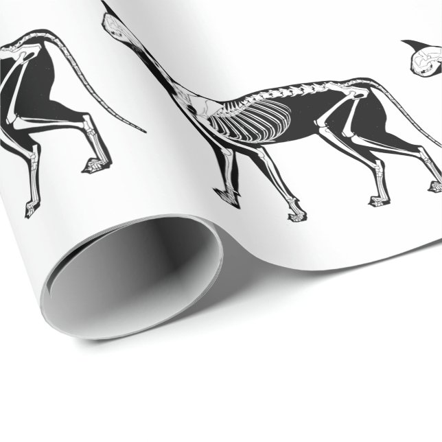 Cadeau Papier d'emballage squelettique de silhouette de (Coin rond)