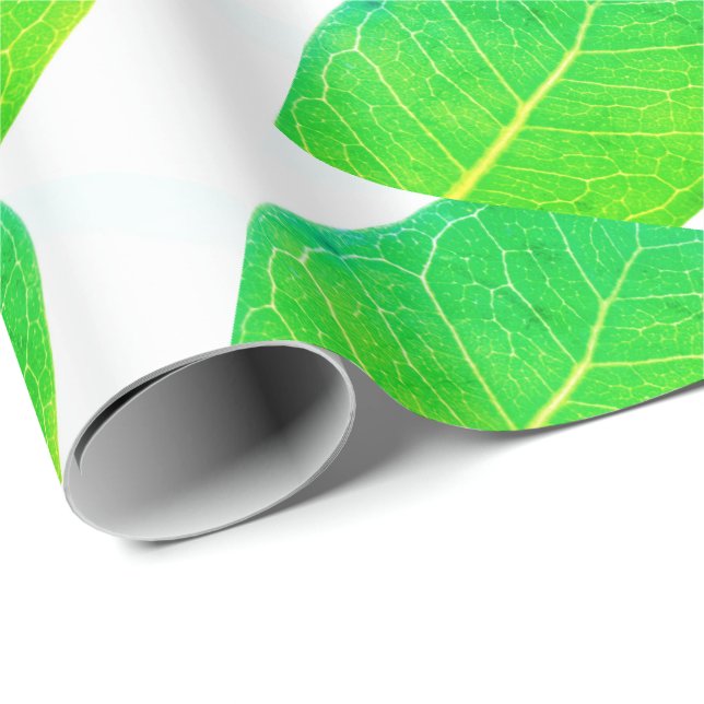 Cadeau Papier d'emballage texture de feuille verte riche  (Coin rond)