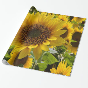 Cadeau Papier d'emballage Tournesol