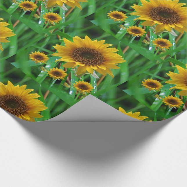 Cadeau Papier d'emballage Tournesol (Coin)