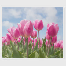 Papier d'emballage Tulipes Roses 