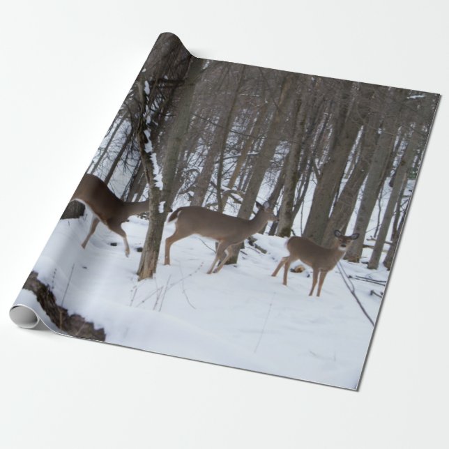 Cadeau Papier d'enlèvement de cerfs (Déroulé)