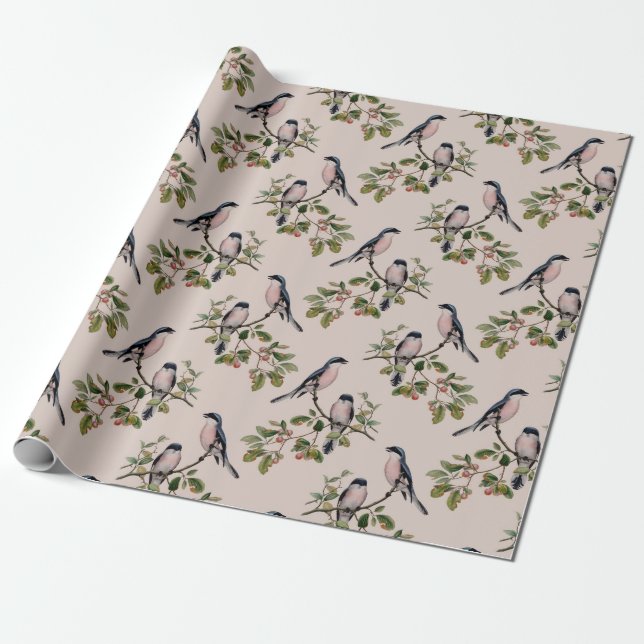 Cadeau Papier d'enlèvement d'oiseaux vintages (Déroulé)