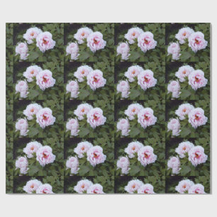 Cadeau Papier d'enrobage de charmantes pivoines