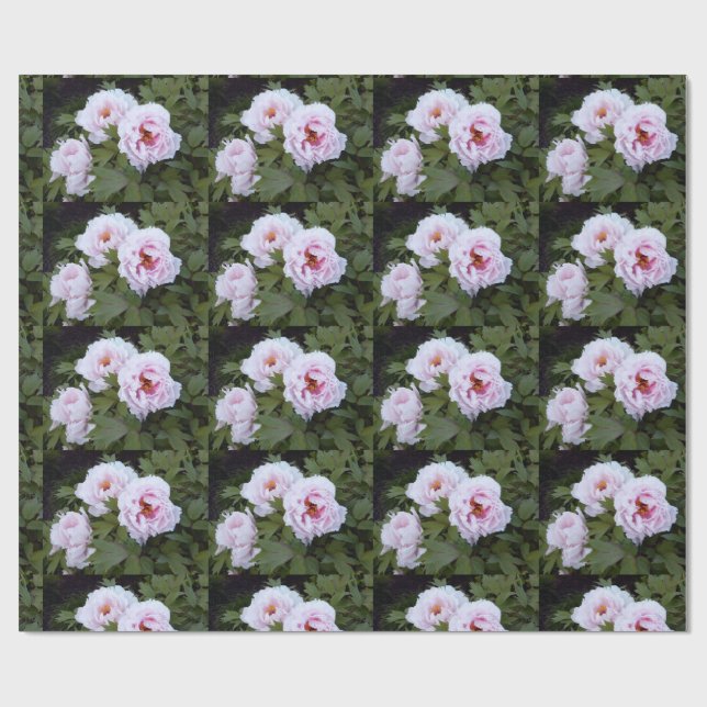 Cadeau Papier d'enrobage de charmantes pivoines (Plat)