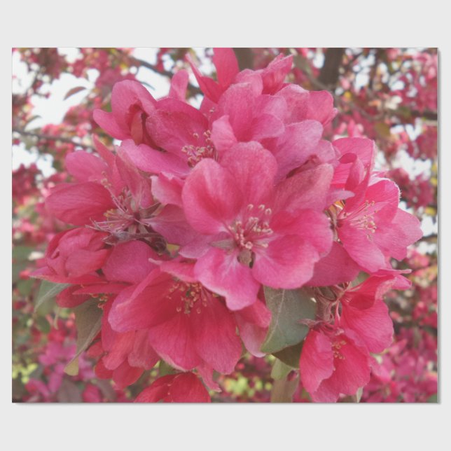 Cadeau Papier d'enrobage de fleur de printemps (Plat)