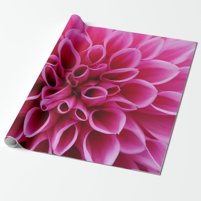 Cadeau Papier d'enrobage de fond rose (Déroulé)