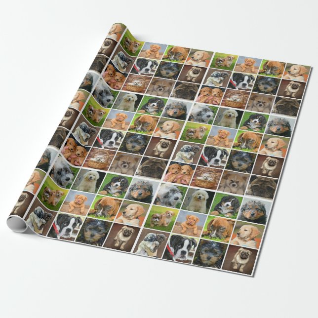 Cadeau Papier d'enrobage de matte de collage de chiot, 30 (Déroulé)