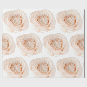 Cadeau Papier d'enveloppement à fleurs de rose blanche