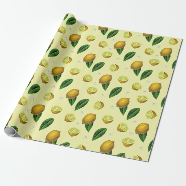 Cadeau Papier d'enveloppement d'agrumes (Déroulé)