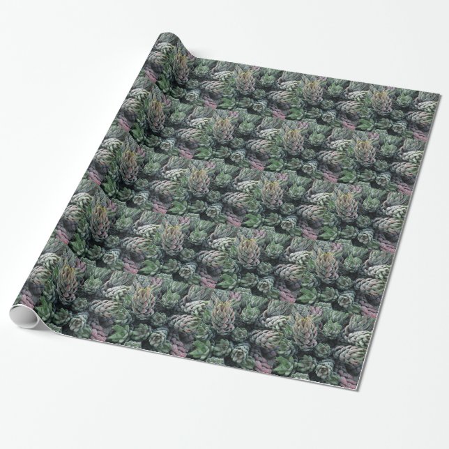 Cadeau Papier d'enveloppement de cactus (Déroulé)