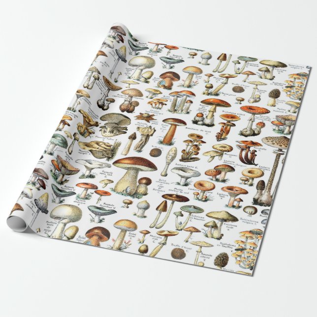 Cadeau Papier d'enveloppement de champignons botaniques v (Déroulé)