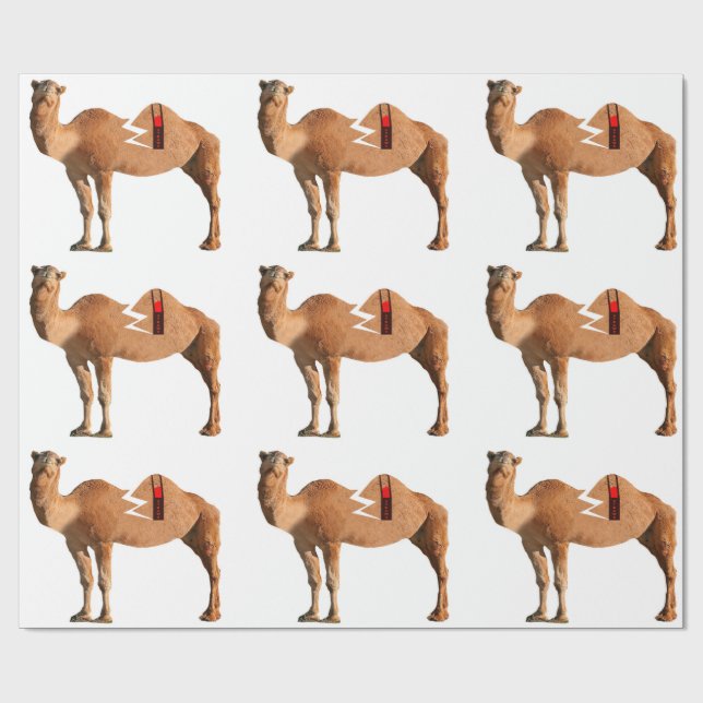 Cadeau Papier d'enveloppement de divorce (Plat)