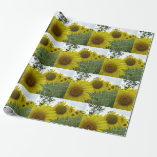 Cadeau Papier d'enveloppement de matte de tournesol