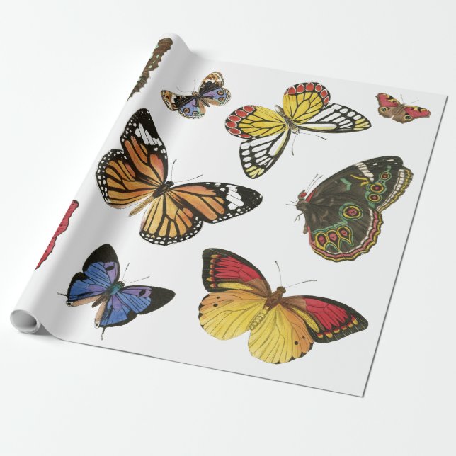 Cadeau Papier d'enveloppement de papillons (Déroulé)