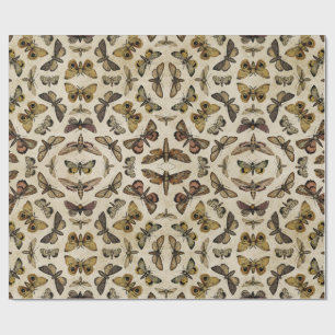 Cadeau Papier d'enveloppement de papillons de nuit vintag