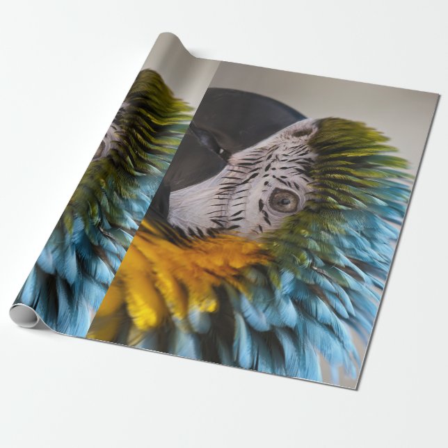 Cadeau Papier d'enveloppement de perroquet de Macaw (Déroulé)