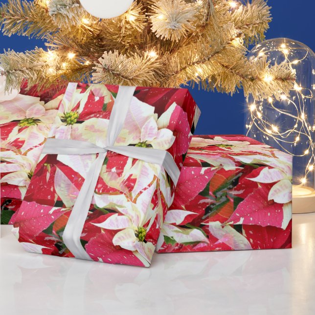 Cadeau Papier d'enveloppement de vacances Red Poinsettia (Vacances)