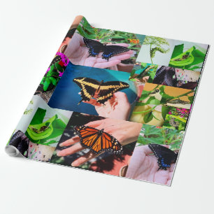 Cadeau Papier d'enveloppement de vie papillon