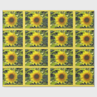 Cadeau Papier d'enveloppement des tournesols d'été Sassy