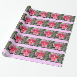 Cadeau Papier d'enveloppement d'orchidées roses