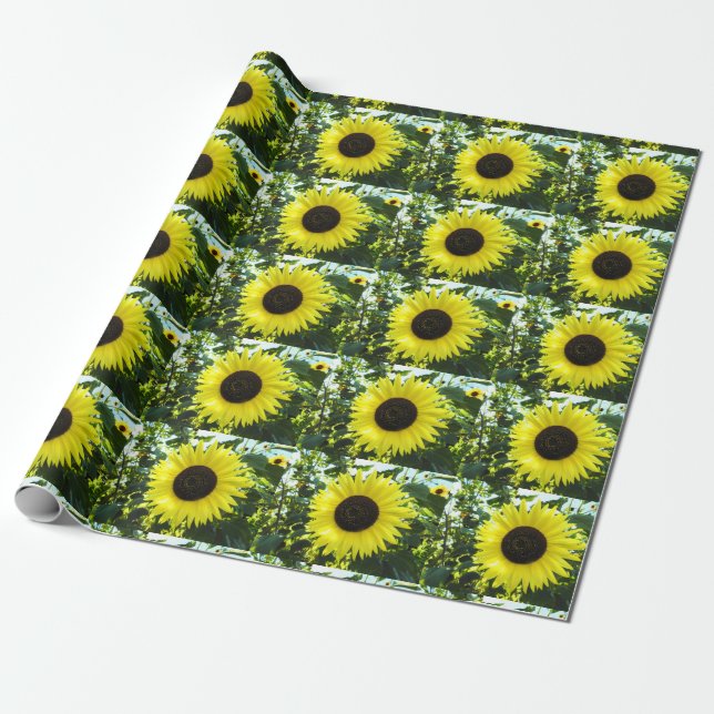 Cadeau Papier d'enveloppement du jardin de tournesol (Déroulé)