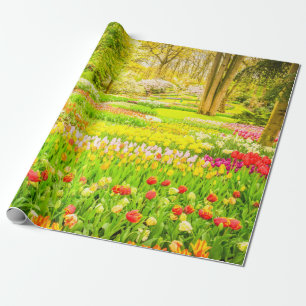 Cadeau Papier d'enveloppement du parc des Tulipes et Daff