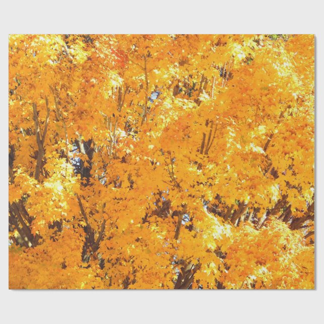 Cadeau Papier d'enveloppement Feuille d'or d'automne (Plat)