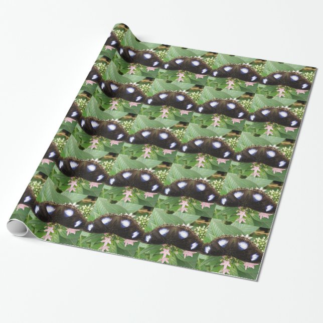 Cadeau Papier d'enveloppement papillon tacheté bleu (Déroulé)
