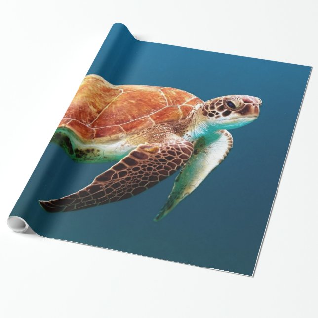 Cadeau Papier d'enveloppement sous-marin 24 (Déroulé)