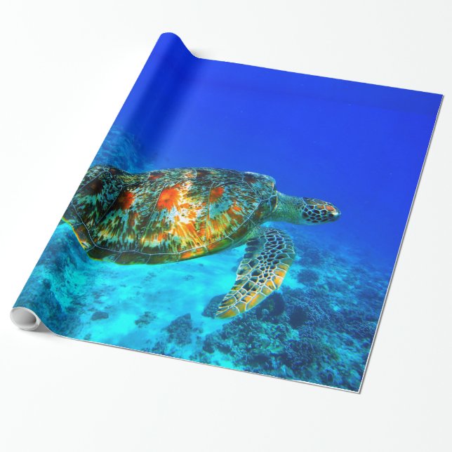 Cadeau Papier d'enveloppement sous-marin 30 (Déroulé)