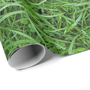 Cadeau Papier écrémé vert
