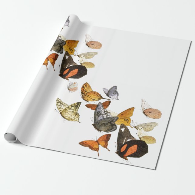 CADEAU PAPIER EN LAVAGE BLANC AVEC BULLETINS (Déroulé)