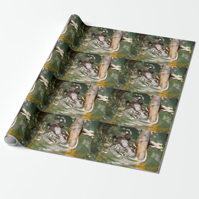CADEAU PAPIER PLATYPUS AUSTRALIA (Déroulé)