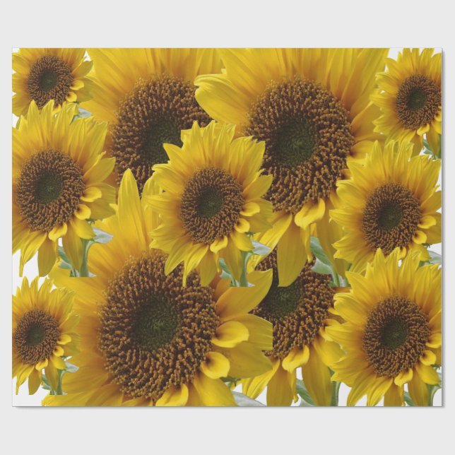Cadeau Papier tournesol enveloppant mat (Plat)