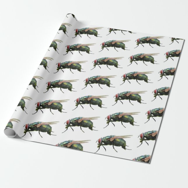 Cadeau Papier volant (Déroulé)
