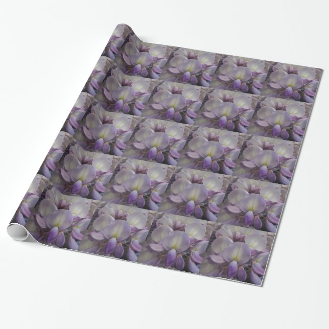 Cadeau Papier Wistaria (Déroulé)