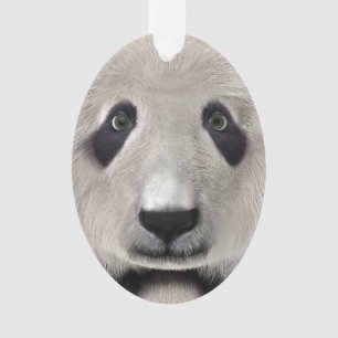 Cadeau parfait pour amateur d'animaux mignon ours