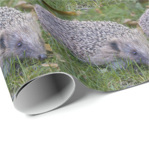 Cadeau Prickles- Papier d'emballage Hérisson d'Europe
