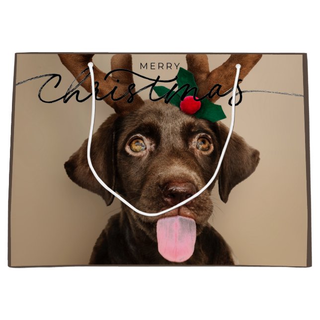 CADEAU SAC CHOCOLAT LABRADOR PUPPER AVEC ANTLERS (Devant)