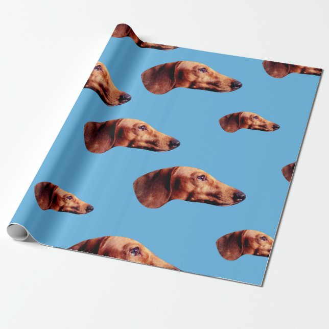 Cadeau Salut papier d'emballage bleu de Def (Déroulé)