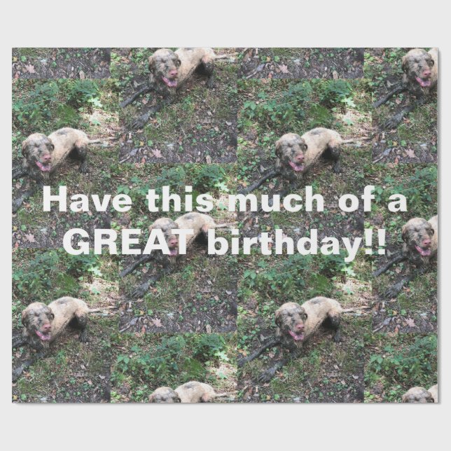 Cadeau Un drôle de rouleau hongrois de papier d'emballage (Plat)