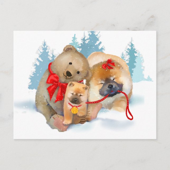 CADEAUX À POIL (OURS) Carte postale Chow & Teddybe (Devant)