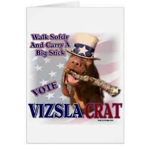 Cadeaux aux amateurs de VIZSLA