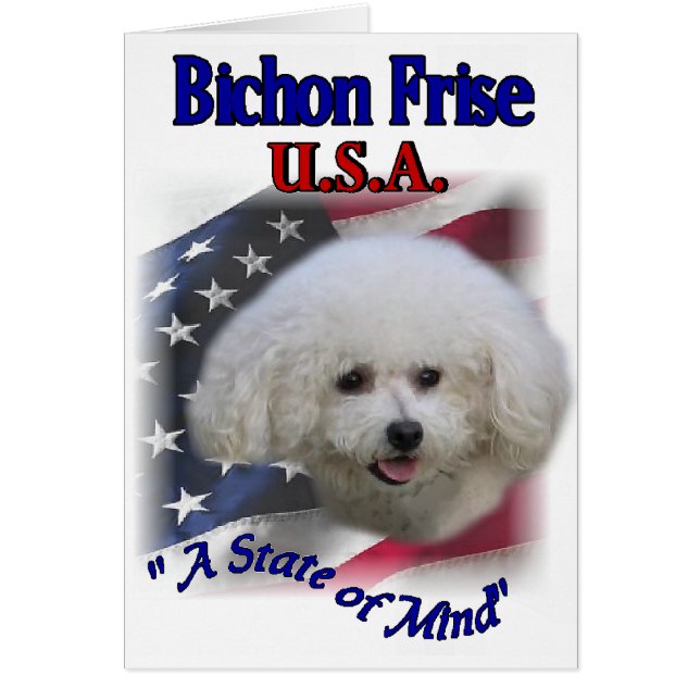 Cadeaux Bichon Frise (Devant)