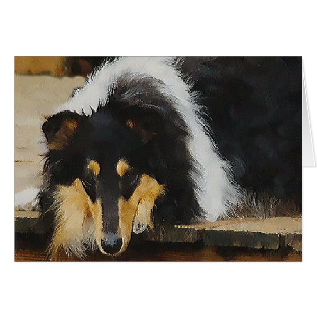Cadeaux Collier Tri-Color Rough Collie (Devant horizontal)