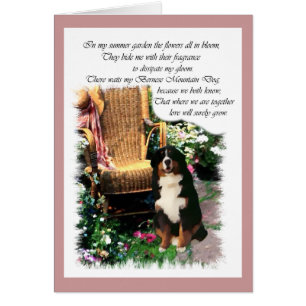 Cadeaux d'art bernois de chiens de montagne